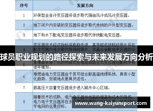 球员职业规划的路径探索与未来发展方向分析