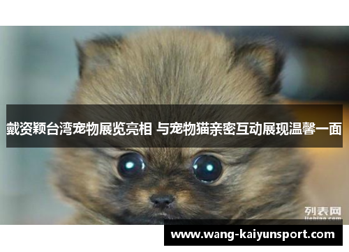 戴资颖台湾宠物展览亮相 与宠物猫亲密互动展现温馨一面