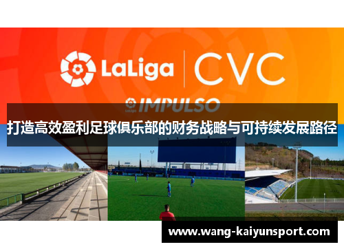 打造高效盈利足球俱乐部的财务战略与可持续发展路径